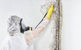 Best Residential Mold Inspection & Testing  in Wlowbrook, IL